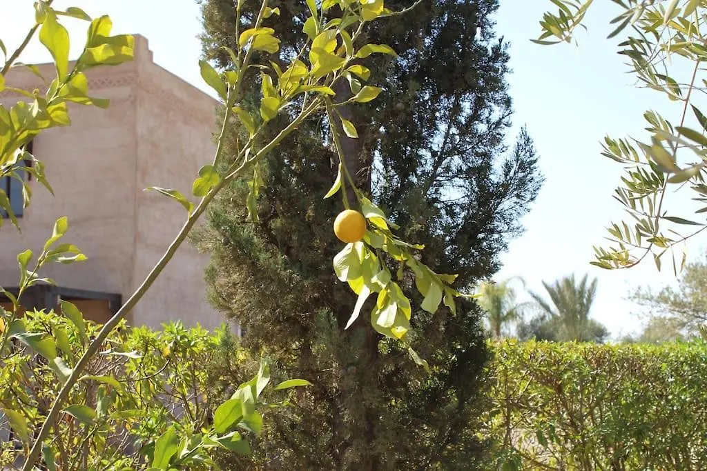 Villa Ily Marrakech Avec Piscine Et Vue Sur L'Altas : Coup De Coeur! Marrakesh