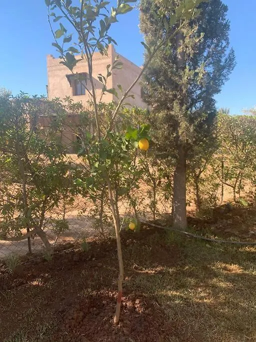 Villa Ily Marrakech Avec Piscine Et Vue Sur L'Altas : Coup De Coeur! Marrakesh